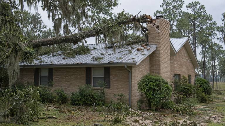 A fallen oak limb across a metal roof and against a storm-damaged brick chimney, with loose bricks on the roof.